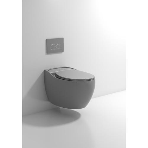 Bathroom Sanitary Ceramic Washdown Wall-hung Water Closet