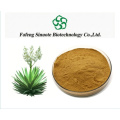 Yucca Schidigera Extract Powder 30%-80% Yucca Saponins