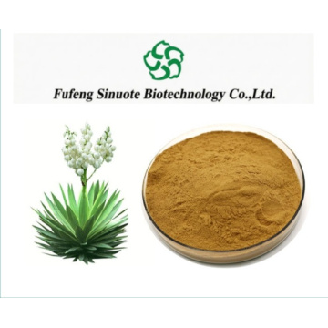 Yucca Schidigera Extract Powder 30%-80% Yucca Saponins