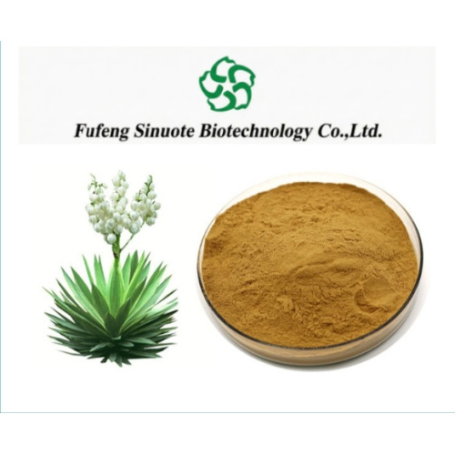 Yucca Schidigera Extract Powder 30%-80% Yucca Saponins