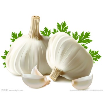 Garlic 100% Pure Best Therapeutic Grade Essential Oil10ml