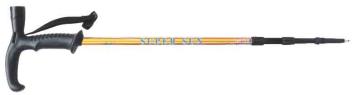 Hot Sale Carbon Nordic Walking Stick