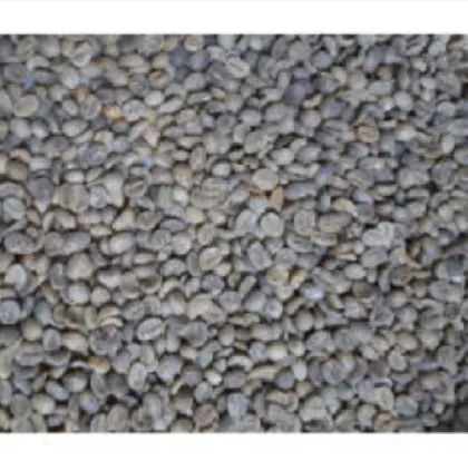 great Arabica Green Coffee Beans