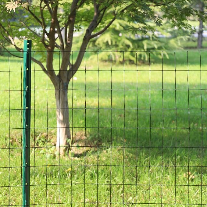 Welded wire mesh