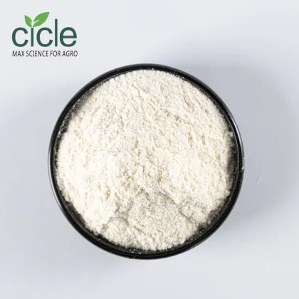 1-Naphthylacetamide NAD Key Auxin Derivative in Biochemistry
