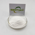 Organic Stevia Extract Powder