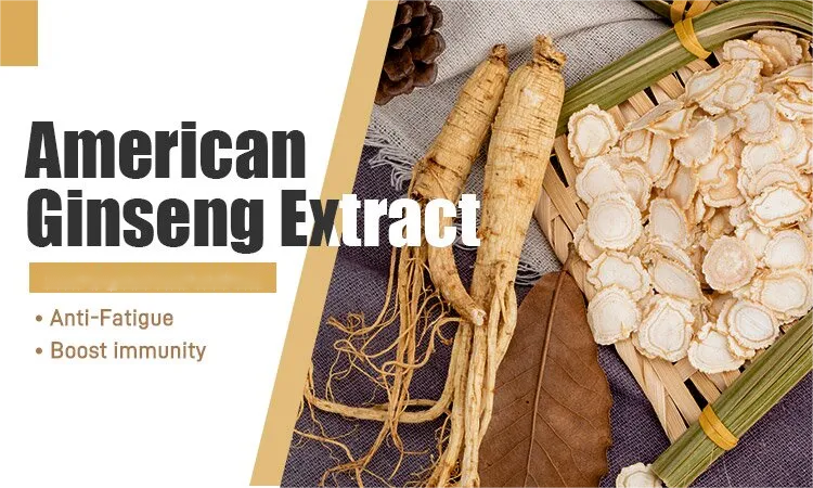American Ginseng Extract (3)