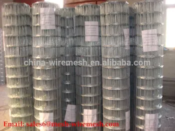 Best Hot Professional High Quality Electro Galvanized Welded Wire Mesh