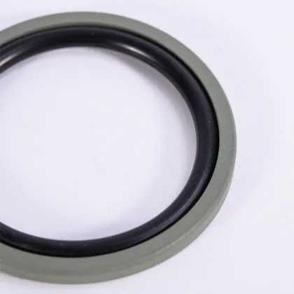 Professional Design Hydraulic Piston Compact Seal