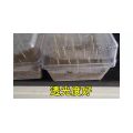 Bean Sprouts Growing Tray Seed Seedling Starter Dish