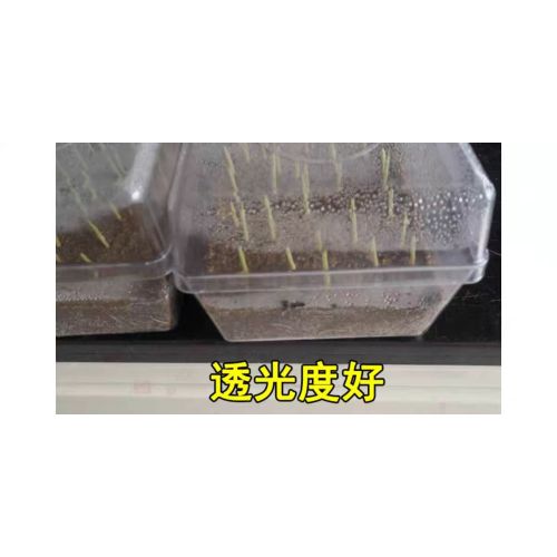 ABS Injection molding box Seed germination/sprouting box