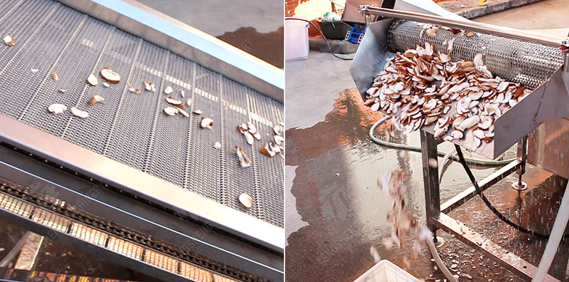 automatic mushroom slicing machine