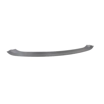 BAINEL Trunk Sill Scuff Plate Trim Cover Panel for Tesla Model X 2022-2024 OE 1054576-00-D