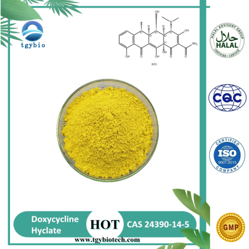 China Pharmaceutiocal Grade Doxycycline Hyclate CAS 10592-13-9 Supplier