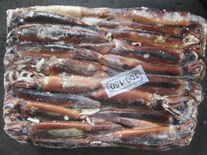 Argentina Squid (Illex Squid)