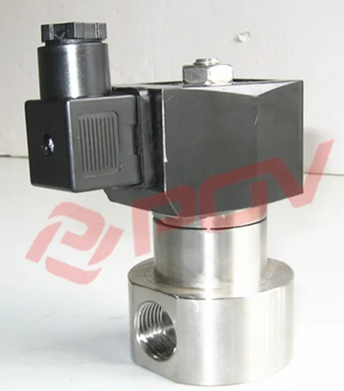ss304 high pressure 12v solenoid valve waterproof