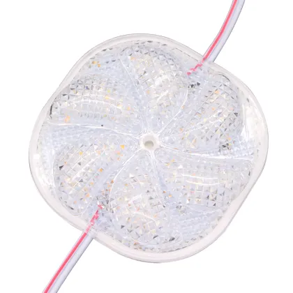 Sun Pattern Flower Shape Bright RGB Led Module