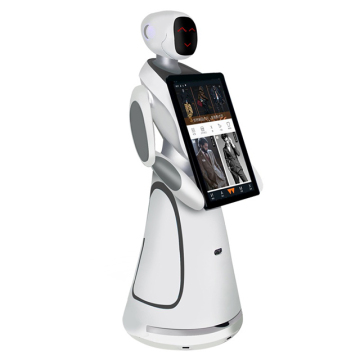 AI-Based Greeting Robot: Interactive Programming Assistant with Screen and Conversation Capabilities
