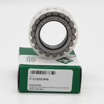 SAIFAN F-219593 Gearbox Bearing F-219593RN Full Cylindrical Roller Bearing