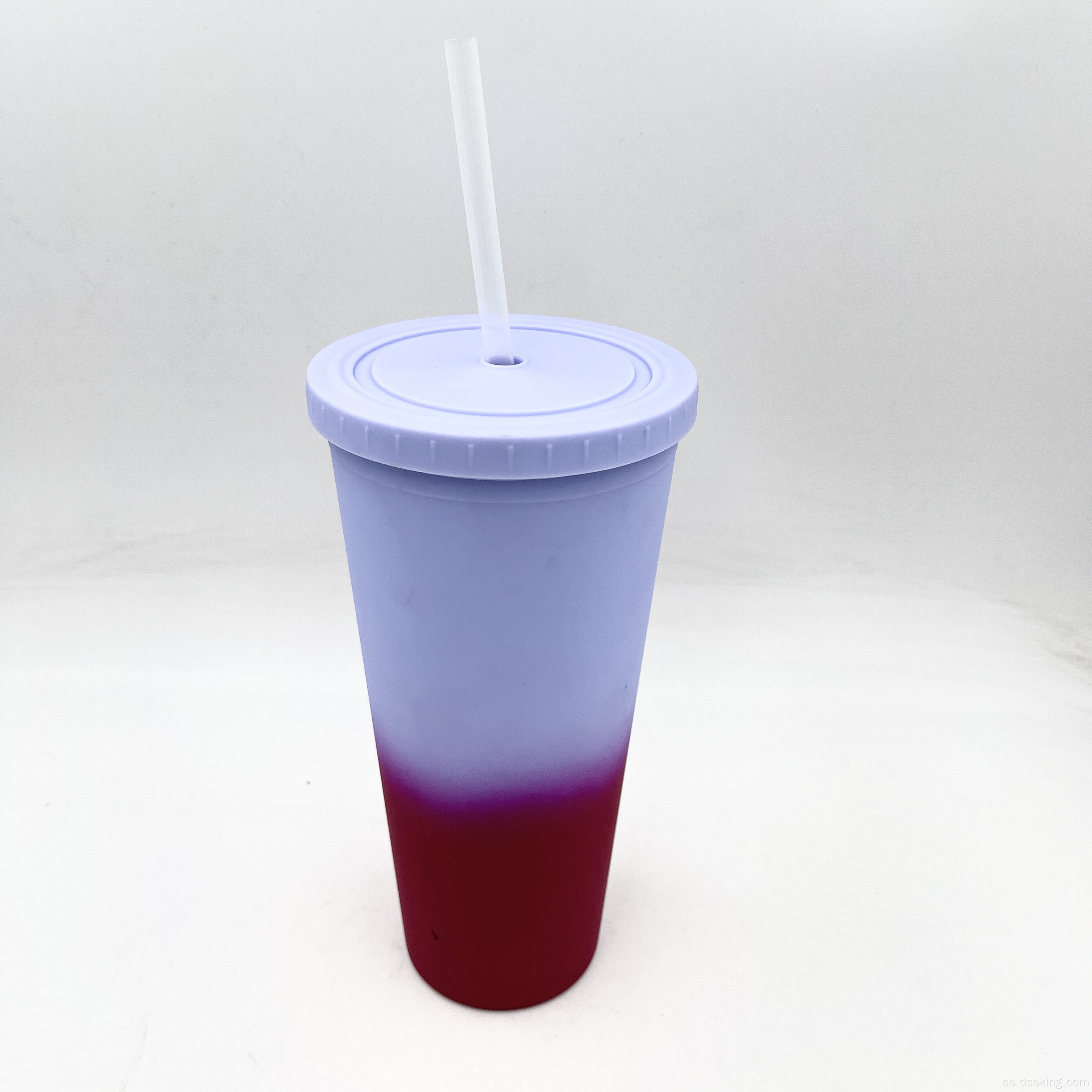 Venta caliente 22oz/650 ml/24 oz Tumero de plástico doble con vaso de cambio de color con paja