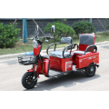 3 Wheel Electric Trike For Passenger