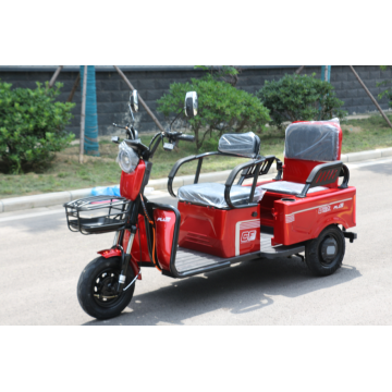 3 Wheel Electric Trike For Passenger