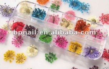 Art Nail Real Flower Set
