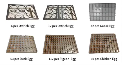 High Quality Mini Egg Incubator with 300 Eggs Capacity