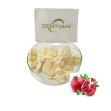 Pomegranate Extract Urolithin A 99% Powder Cas1143-70-0