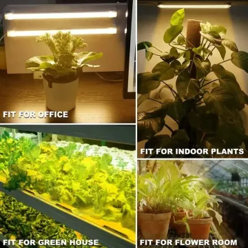 USB Indoor Plant LED Grow Light: Full Spectrum Phyto Lamp with Dimmable Timer for Seedlings and Veggie Growth
