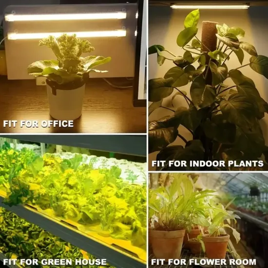 USB Indoor Plant LED Grow Light: Full Spectrum Phyto Lamp with Dimmable Timer for Seedlings and Veggie Growth