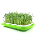 Flat PP Seed Tray plastic seed tray