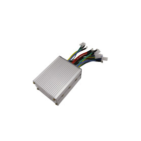 Electric tricycle dual drive controller