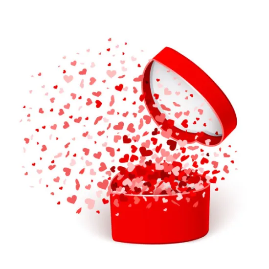 Customized Logo Printed Heart Luxury Jewellery Gift Box