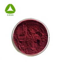 Anti-oxidant Black Currant Extract Powder Anthocyanin