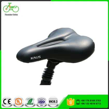 Electric Mountain Bikes with 250W-8Fun Brand Motor