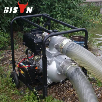 BISON(CHINA) 4inch Diesel Pump, 4 inch Diesel Water Pump