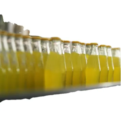 Fruit Juice and Concentrated Juice Making Machine - NFC Production Line