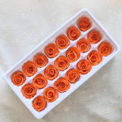 Eternal Rose: Preserved Flower Gifts That Last Forever