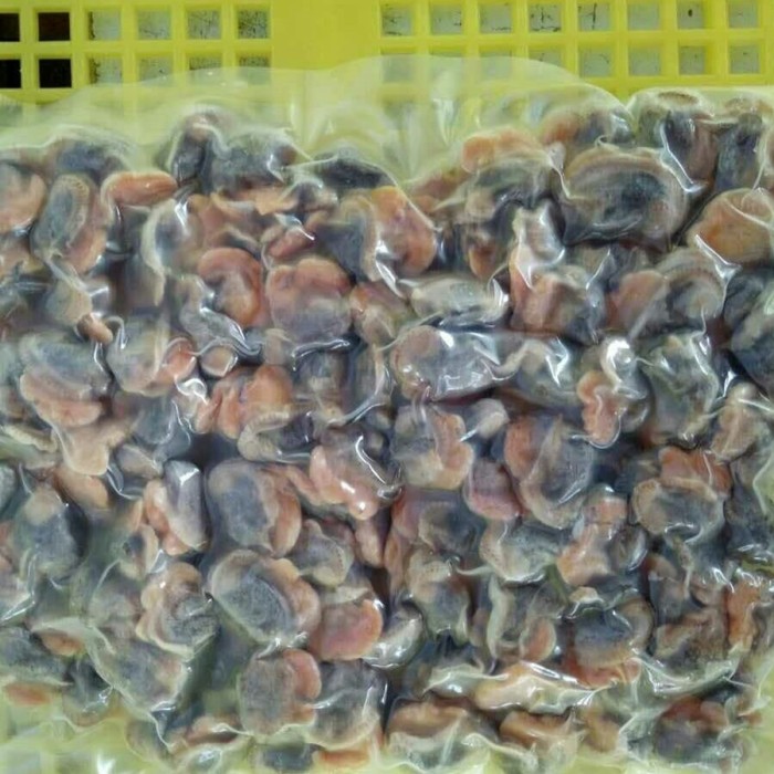 Frisches gefrorenes Muschelfleisch und blutige Blutmuscheln