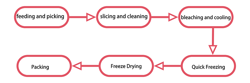 freeze drying process