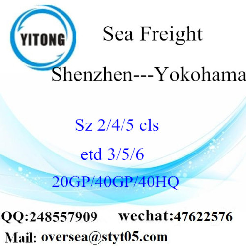 Shenzhen Port Sea Freight Versand nach Yokohama
