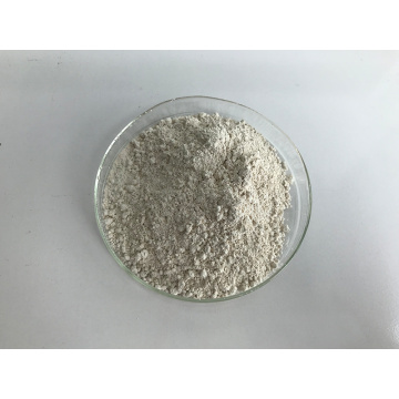 Green Tea Extract EGCG Powder 95%