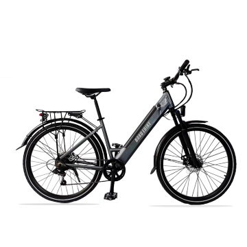 48V 350W الدراجة الجبلية الكهربائية: ممارسة متعددة الأغراض ورياضة ebike مناسبة للنساء والبالغين (27.5 بوصة)