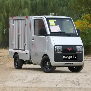 Wuling E10 EV New Electric Pickup Truck 2023 Express Special Electric Car