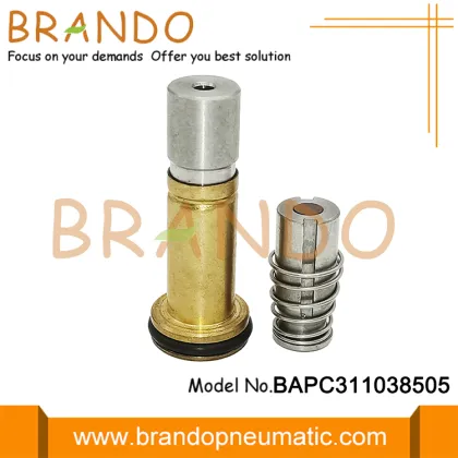 WABCO Type Truck Solenoid Armature Plunger Tube 4420012221