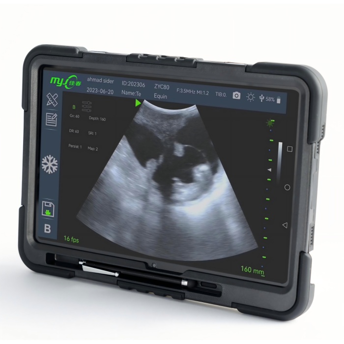 Fast Scan C for pig ultrasound