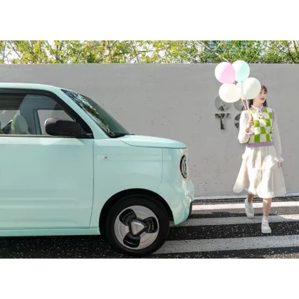 2023 Geely Panda Mini EV: 120km-200km Range New Energy Electric Mini Car