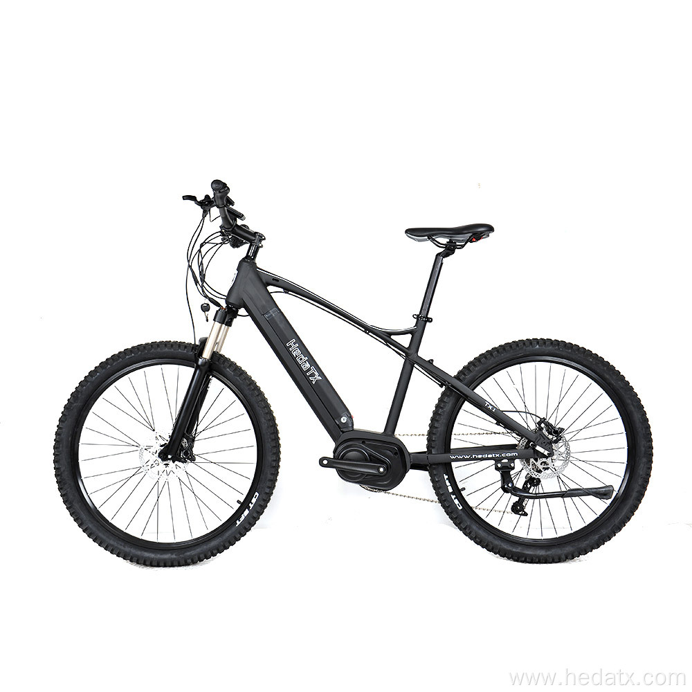 Handsome mountain electric bike