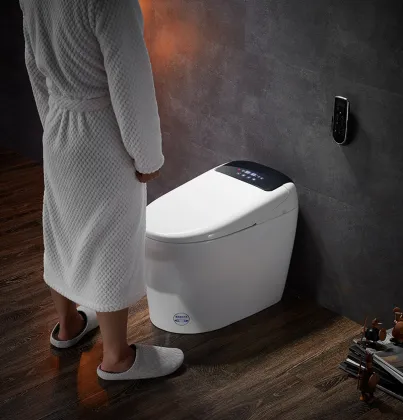 Wall-Hung Hidden Bathroom Concealed Toilet Tanks with Dual-Flush